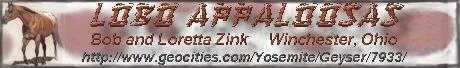 AppBanner2.jpg (9051 bytes)