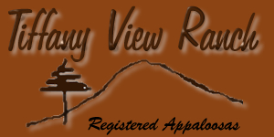 tiffanyview.jpg (41178 bytes)